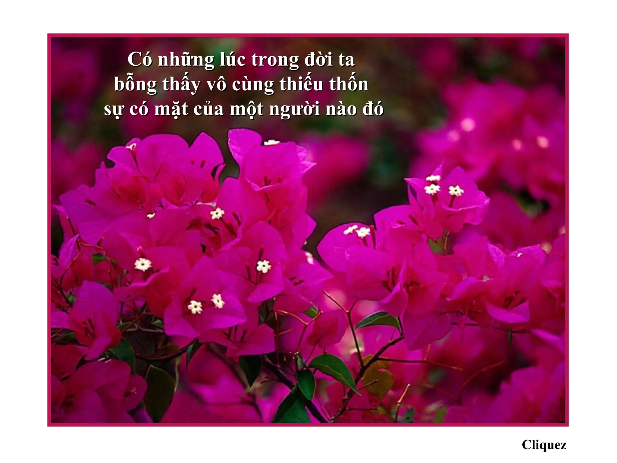 Có những lúc trong đời ta
 bỗng thấy vô cùng thiếu thốn
sự có mặt của một người nào đó




                                 Cliquez
 