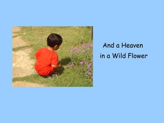 And a Heaven  in a Wild Flower 