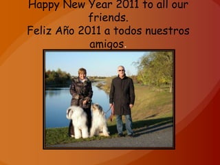 Happy New Year 2011 to all our friends.Feliz Año 2011 a todos nuestros amigos. 