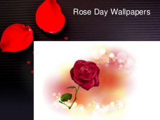 Rose Day Wallpapers

 