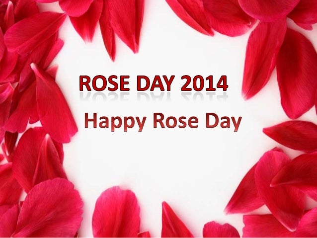 Happy Rose Day Images Quotes Sms In Hindi Wallpaper Download