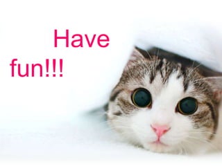 Have
fun!!!