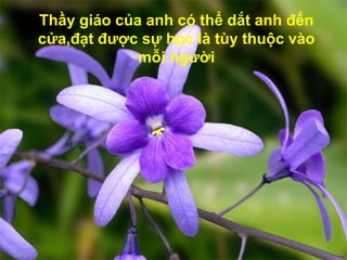 Thầy giáo của anh có thể dắt anh đến
cửa,đạt được sự học là tùy thuộc vào
             mỗi người
 