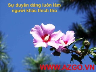 Sự duyên dáng luôn làm
 người khác thích thú
 