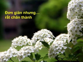 Đơn giản nhưng…
rất chân thành
 