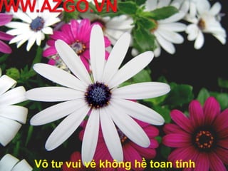 Vô tư vui vẻ không hề toan tính
 