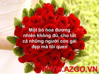 Một bó hoa đương
nhiên không đủ, cho tất
cả những người con gái
    đẹp mà tôi quen
 