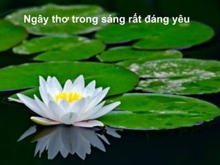 Ngây thơ trong sáng rất đáng yêu
 