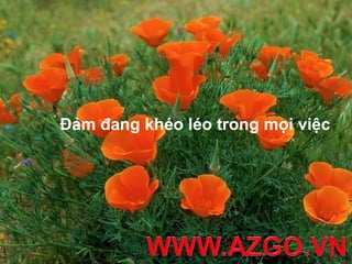 Đảm đang khéo léo trong mọi việc
 