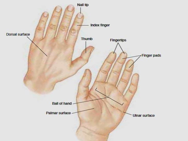 Approach to the physical Assessment