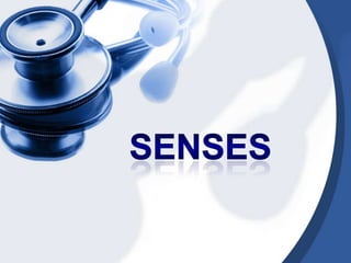 Senses 