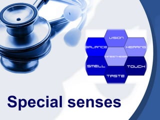 Sense of Smell (Olfaction)