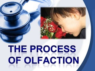 Facts about olfaction:It stated once a odorant molecule is bound to a receptor cell, it does no function so prolonged exposure to a given odorant will disable the receptor cells receiving stimuli from the smell resulting in a person adapting to a specific odor.Once a person adapts to an odor he or she no longer smells the odor or the effect of the odor is lessened
