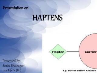 HAPTENS
Presentation on:
Presented By:
Sonika Bhatnagar
B.Sc Life Sc (III )
 
