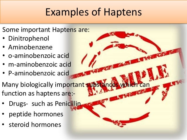 What Is A Hapten Drug? , Immunotherapies for the Treatment of Drug ...