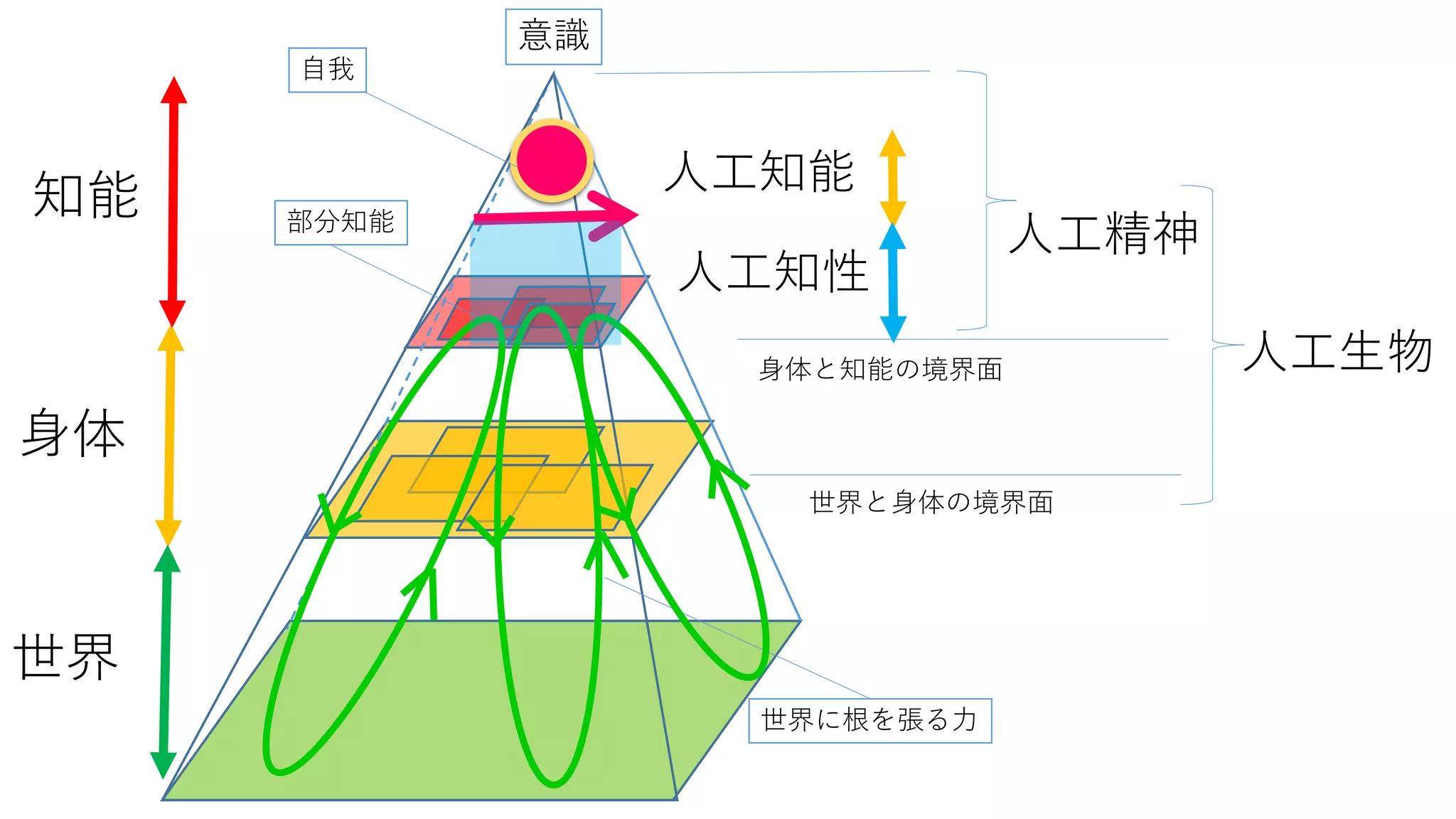 世界
身体
部分知能
意識
世界に根を張る力
自我
人工知能
人工知性
人工精神
人工生物身体と知能の境界面
世界と身体の境界面
知能
 