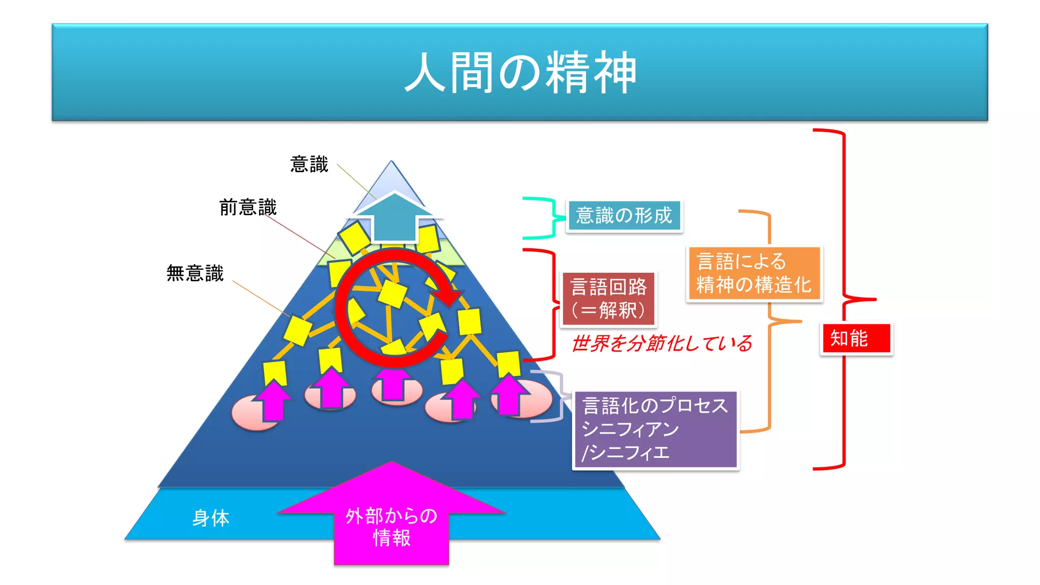 人間の精神
意識
前意識
無意識
知能
言語による
精神の構造化
外部からの
情報
言語化のプロセス
シニフィアン
/シニフィエ
言語回路
（＝解釈）
意識の形成
世界を分節化している
身体 身体
 