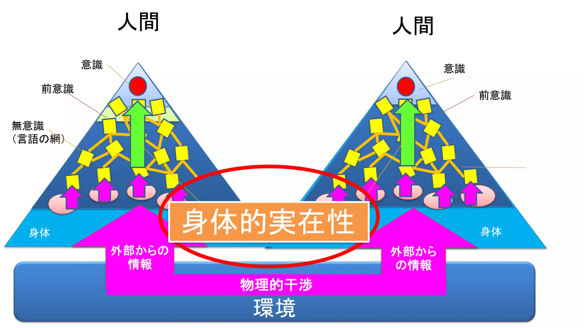 身体 身体
環境
意識
前意識
無意識
（言語の網）
意識
前意識
外部から
の情報
人間 人間
外部からの
情報
物理的干渉
他者の構成プロセス身体的実在性
 