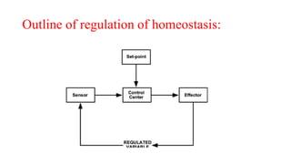 Outline of regulation of homeostasis:
 