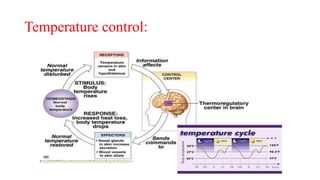 Temperature control:
 