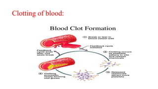 Clotting of blood:
 