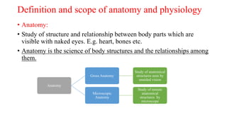 Definition and scope of anatomy and physiology
• Anatomy:
• Study of structure and relationship between body parts which are
visible with naked eyes. E.g. heart, bones etc.
• Anatomy is the science of body structures and the relationships among
them.
Anatomy
Gross Anatomy
Study of anatomical
structures seen by
unaided vision
Microscopic
Anatomy
Study of minute
anatomical
structures by
microscope
 