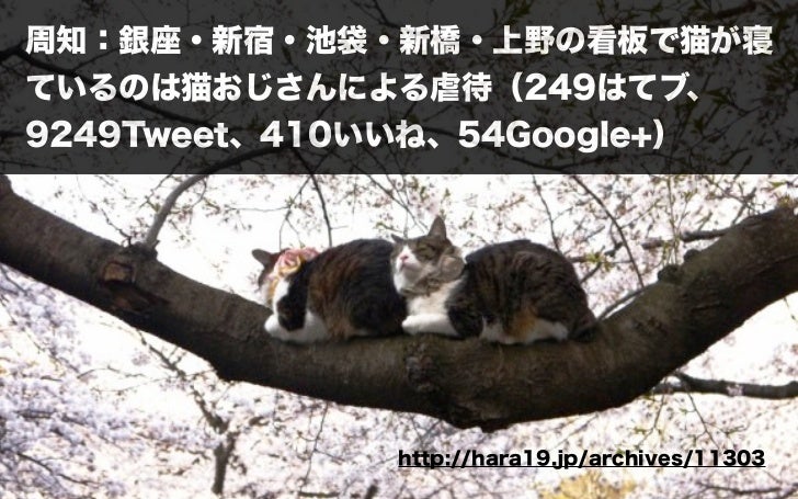 Hara19 Jpの裏側 地域情報サイトの構築 運営ノウハウ