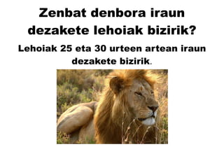Zenbat denbora iraun dezakete lehoiak bizirik? Lehoiak 25 eta 30 urteen artean iraun dezakete bizirik . 