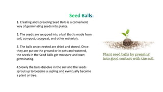 1. Creating and spreading Seed Balls is a convenient
way of germinating seeds into plants.
2. The seeds are wrapped into a ball that is made from
soil, compost, cocopeat, and other materials.
3. The balls once created are dried and stored. Once
they are put on the ground or in pots and watered,
the seeds in the Seed Balls get moisture and start
germinating.
4.Slowly the balls dissolve in the soil and the seeds
sprout up to become a sapling and eventually become
a plant or tree.
 