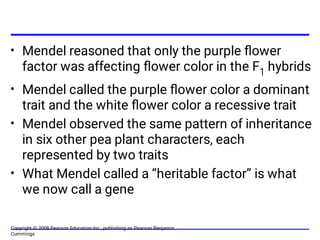 •
•
•
•
Mendel reasoned that only the purple ﬂower
factor was affecting ﬂower color in the F1 hybrids
Mendel called the purple ﬂower color a dominant
trait and the white ﬂower color a recessive trait
Mendel observed the same pattern of inheritance
in six other pea plant characters, each
represented by two traits
What Mendel called a “heritable factor” is what
we now call a gene
Copyright © 2008 Pearson Education Inc., publishing as Pearson Benjamin
Cummings
 
