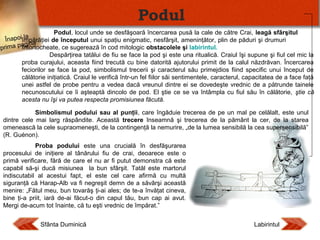 Podul
Podul, locul unde se desfăşoară încercarea pusă la cale de către Crai, leagă sfârşitul
la
poiîmpărăţiei de începutul unui spaţiu enigmatic, nesfârşit, ameninţător, plin de păduri şi drumuri
Î na
agina
prima p întortocheate, ce sugerează în cod mitologic obstacolele şi labirintul.
Despărţirea tatălui de fiu se face la pod şi este una ritualică. Craiul îşi supune şi fiul cel mic la
proba curajului, aceasta fiind trecută cu bine datorită ajutorului primit de la calul năzdrăvan. Încercarea
feciorilor se face la pod, simbolismul trecerii şi caracterul său primejdios fiind specific unui început de
călătorie iniţiatică. Craiul le verifică într-un fel fiilor săi sentimentele, caracterul, capacitatea de a face faţă
unei astfel de probe pentru a vedea dacă vreunul dintre ei se dovedeşte vrednic de a pătrunde tainele
necunoscutului ce îi aşteaptă dincolo de pod. El ştie ce se va întâmpla cu fiul său în călătorie, ştie că
acesta nu îşi va putea respecta promisiunea făcută.
Simbolismul podului sau al punţii, care îngăduie trecerea de pe un mal pe celălalt, este unul
dintre cele mai larg răspândite. Această trecere înseamnă şi trecerea de la pământ la cer, de la starea
omenească la cele supraomeneşti, de la contingenţă la nemurire, „de la lumea sensibilă la cea supersensibilă”
(R. Guénon).
Proba podului este una crucială în desfăşurarea
procesului de iniţiere al tânărului fiu de crai, deoarece este o
primă verificare, fără de care el nu ar fi putut demonstra că este
capabil să-şi ducă misiunea la bun sfârşit. Tatăl este martorul
indiscutabil al acestui fapt, el este cel care afirmă cu multă
siguranţă că Harap-Alb va fi negreşit demn de a săvârşi această
menire: „Fătul meu, bun tovarăş ţi-ai ales; de te-a învăţat cineva,
bine ţi-a priit, iară de-ai făcut-o din capul tău, bun cap ai avut.
Mergi de-acum tot înainte, că tu eşti vrednic de împărat.”
Sfânta Duminică

Labirintul

 