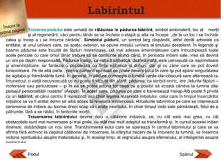 Labirintul
Înapoi la
agina Trecerea podului este urmată de rătăcirea în pădurea-labirint, simbol ambivalent, loc al morţii
prima p
şi al regenerării, căci pentru tânăr se va încheia o etapă şi alta va începe: „de la un loc i se închide
calea şi încep a i se încurca cărările”. Simbolul pădurii, un simbol larg răspândit, altfel decât arborele ca
entitate, al unui univers care, ca spaţiu exterior, se opune micului univers al ţinutului desţelenit. În legende şi
basme pădurea este locuită de făpturi misterioase, cel mai adesea ameninţătoare care întruchipează toate
acele pericole cu care omul tânăr trebuie să se confrunte atunci când, în perioada iniţierii sale, vrea să devină
un om pe deplin responsabil. Pădurea însăşi, ca natură sălbatică, dezordonată, este percepută ca neprimitoare
şi ameninţătoare, iar fantezia o populează cu fiinţe sălbatice şi duhuri, dar şi cu zâne care se pot dovedi
binevoitoare. Pe de altă parte , pentru oamenii spirituali ea poate deveni locul în care îşi pot apăra singurătatea
de agitaţia şi frământările lumii. În general, în pădure domneşte o lumină verde clar-obscură care alternează cu
întunericul, o viaţă necunoscută ce nu poate fi văzută din afară; pădurea, ca simbol oniric, are „felurite făpturi –
inofensive sau periculoase – şi în ea se poate aduna tot ceea ce e posibil să scoată cândva la lumina zilei
peisajul personalităţii noastre” (Aeppli). În acest sens, pădurea pe care o traversează Harap-Alb poate fi privită
ca un labirint, al cărui centru îl reprezintă aici chiar ieşirea rezervată iniţiatului, celui care în timpul încercărilor
iniţiatice se va fi arătat demn să aibă acces la revelaţia misterioasă. Ritualurile labirintice pe care se întemeiază
ceremonia de iniţiere au tocmai drept scop să-i arate neofitului, în chiar timpul vieţii sale pământeşti, felul de a
pătrunde, fără a se rătăci, în teritoriile morţii.
Traversarea labirintului devine deci o călătorie iniţiatică, ce, cu cât este mai grea, cu cât
obstacolele sunt mai numeroase şi mai grele, cu atât mai mult adeptul se transformă şi, în cursul acestei iniţieri
itinerare, dobândeşte un nou sine. Transformarea eului care se operează în centrul labirintului şi care se va
afirma fără echivoc la capătul călătoriei de întoarcere, la sfârşitul trecerii de la întuneric la lumină, va însemna
victoria spiritualului asupra materialului şi, în acelaşi timp, al veşnicului asupra efemerului, al inteligenţei asupra
instinctului.

Podul

Spânul

 
