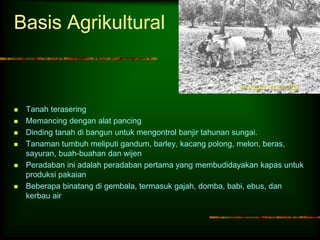 Basis Agrikultural 
 Tanah terasering 
 Memancing dengan alat pancing 
 Dinding tanah di bangun untuk mengontrol banjir tahunan sungai. 
 Tanaman tumbuh meliputi gandum, barley, kacang polong, melon, beras, 
sayuran, buah-buahan dan wijen 
 Peradaban ini adalah peradaban pertama yang membudidayakan kapas untuk 
produksi pakaian 
 Beberapa binatang di gembala, termasuk gajah, domba, babi, ebus, dan 
kerbau air 
Image: fao.org 
 