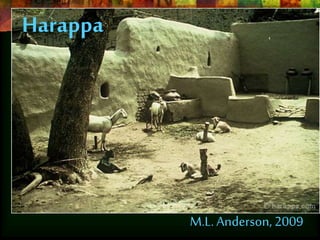 Harappa 
M.L. Anderson, 2009 
 