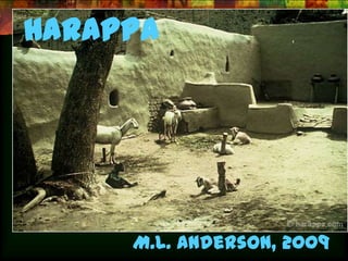 Harappa




     M.L. Anderson, 2009
 