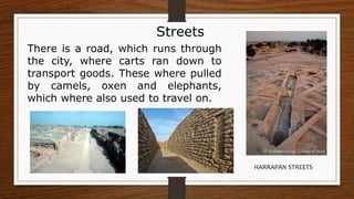 Streets
There is a road, which runs through
the city, where carts ran down to
transport goods. These where pulled
by camels, oxen and elephants,
which where also used to travel on.
HARRAPAN STREETS
 