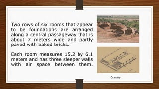 Two rows of six rooms that appear
to be foundations are arranged
along a central passageway that is
about 7 meters wide and partly
paved with baked bricks.
Each room measures 15.2 by 6.1
meters and has three sleeper walls
with air space between them.
Granary
 