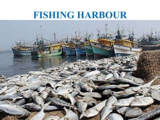 FISHING HARBOUR
 