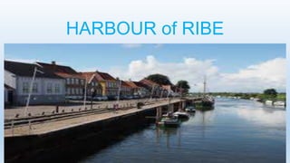 HARBOUR of RIBE
 