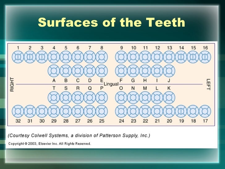 Dental Paper Charting Symbols