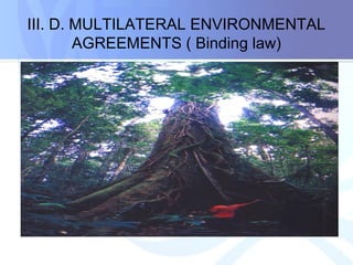 III. D. MULTILATERAL ENVIRONMENTAL
AGREEMENTS ( Binding law)
 