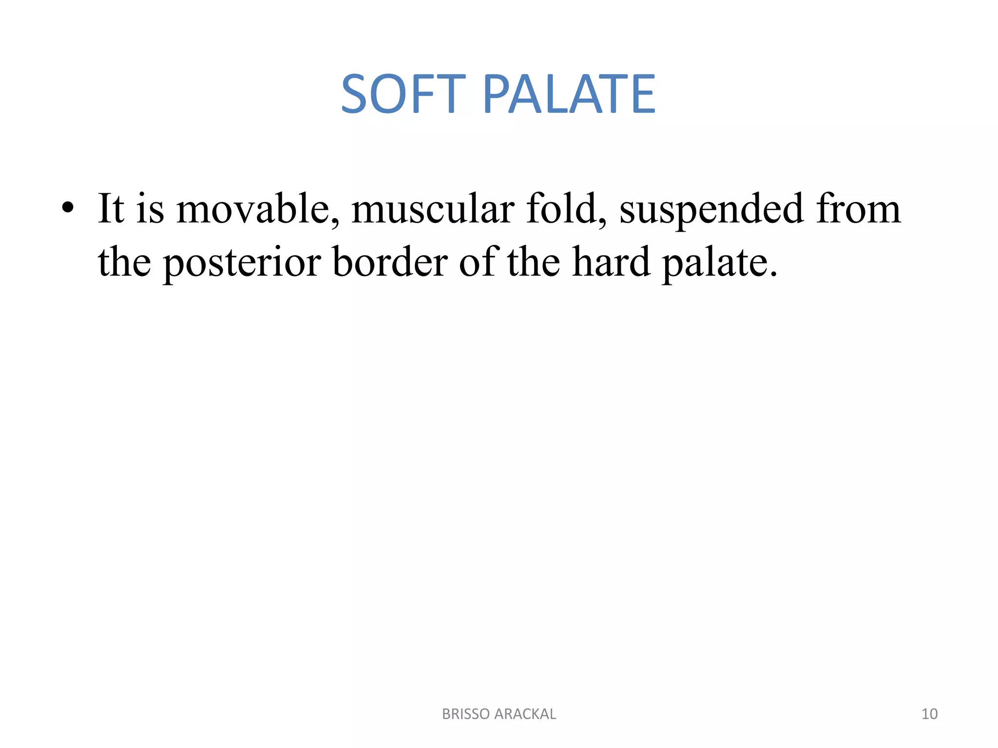 SOFT PALATE
• It is movable, muscular fold, suspended from
the posterior border of the hard palate.
10BRISSO ARACKAL
 