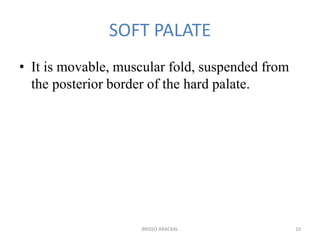 SOFT PALATE
• It is movable, muscular fold, suspended from
the posterior border of the hard palate.
10BRISSO ARACKAL
 