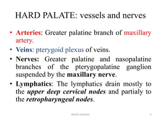 HARD PALATE: vessels and nerves
• Arteries: Greater palatine branch of maxillary
artery.
• Veins: pterygoid plexus of veins.
• Nerves: Greater palatine and nasopalatine
branches of the pterygopalatine ganglion
suspended by the maxillary nerve.
• Lymphatics: The lymphatics drain mostly to
the upper deep cervical nodes and partialy to
the retropharyngeal nodes.
9BRISSO ARACKAL
 