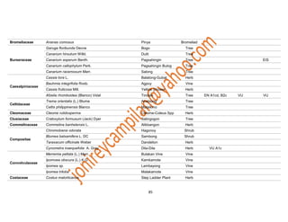 Pagsahingin Bulog Tree Understory Flora Composition Assessment of Jabonga, Agusan del Norte | PDF