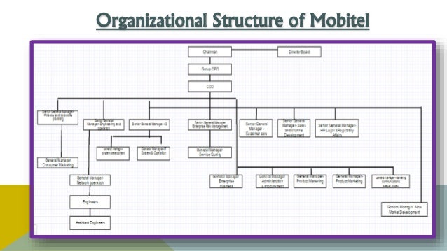 Management Information System Organizational Chart