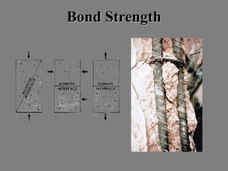 BondBond StrengthStrength
 