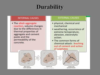 DurabilityDurability
 