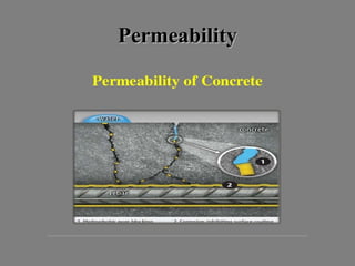 PermeabilityPermeability
 