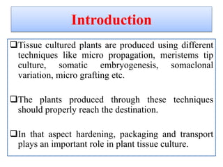 Hardening, packaging &amp; transport of micropropagules and construction of propagation structure